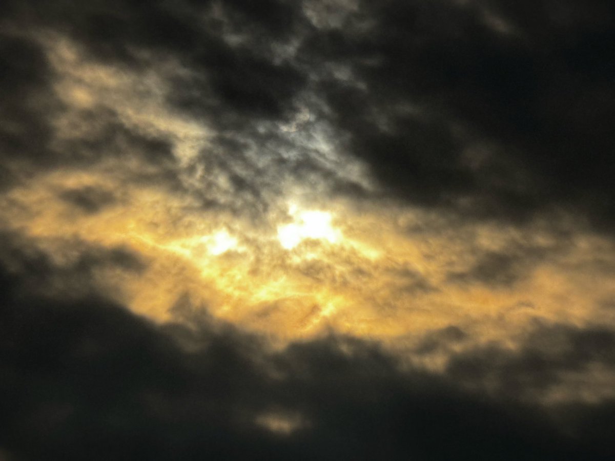 حتى لو لم أعد سوى شبح من الماضي، فإن جوهرتي - أثيري - ستنتشر كجزيء في السماء والهواء والماء والأرض. وستبقى هناك، جزءًا من الكون، لمليارات السنين القادمة.
- إدوارد ميخائيل