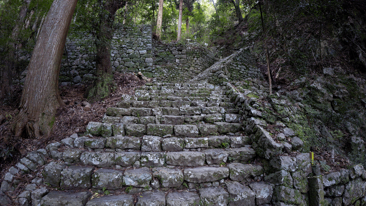 鳳来寺（ほうらいじ）は 約1300年前、大宝3年（703年）に利修仙人によって開かれたと伝えられています。
表参道には1,425段の石段があり、山岳信仰の霊場としての雰囲気も色濃く残っています。

小馬寺の落雷に打たれた弁慶杉がこちらの本堂で利用されたらしい。小馬寺で切り株だけになってた木
