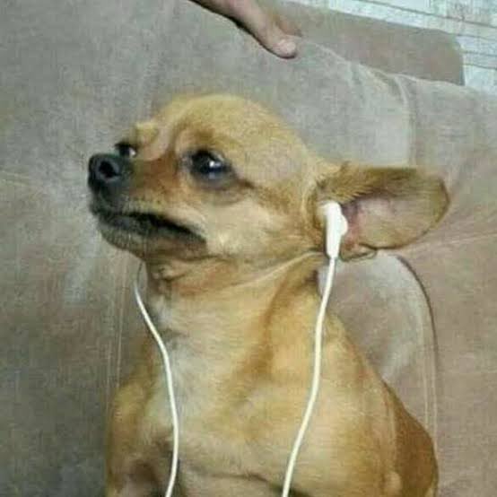 Letícia Rodrigues ou a que fez a Sandrão tweet media