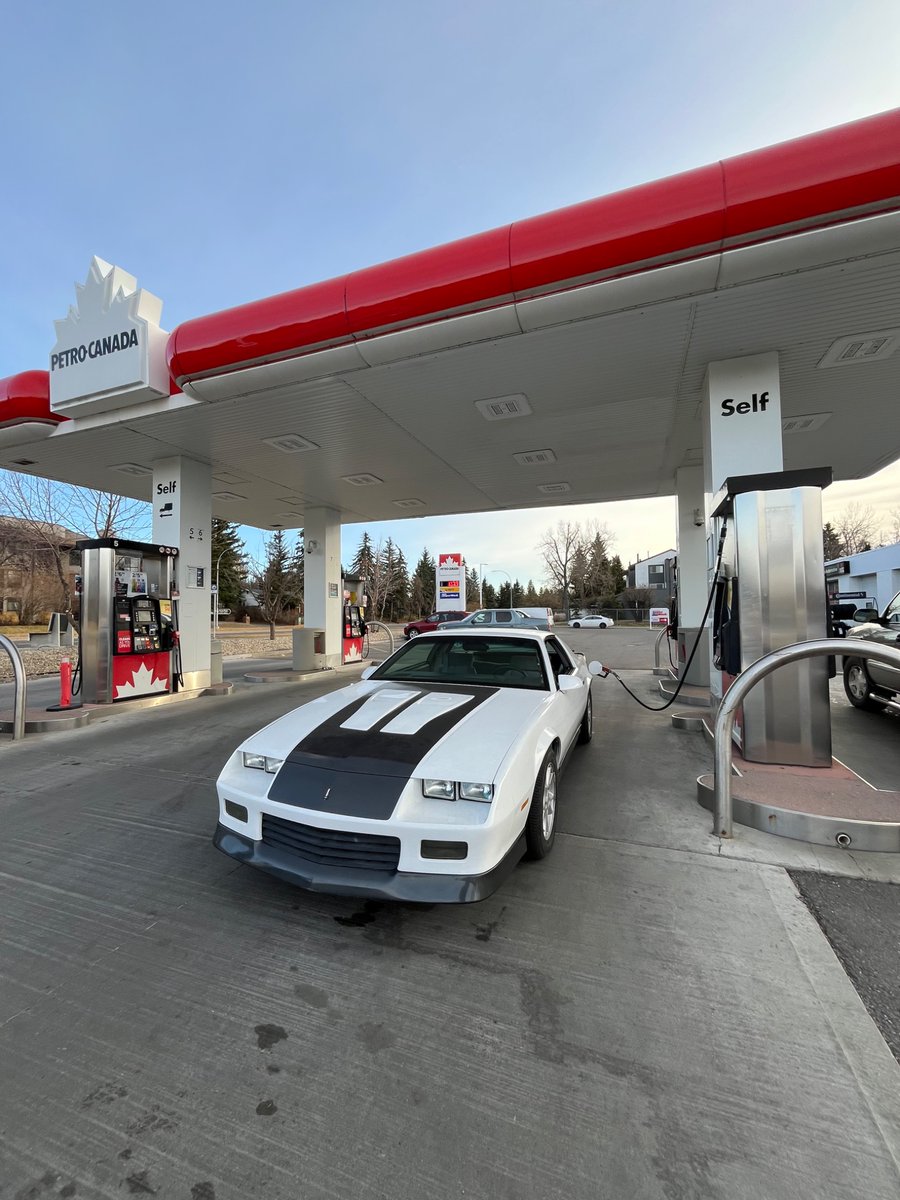 TheRomanLegions tweet media