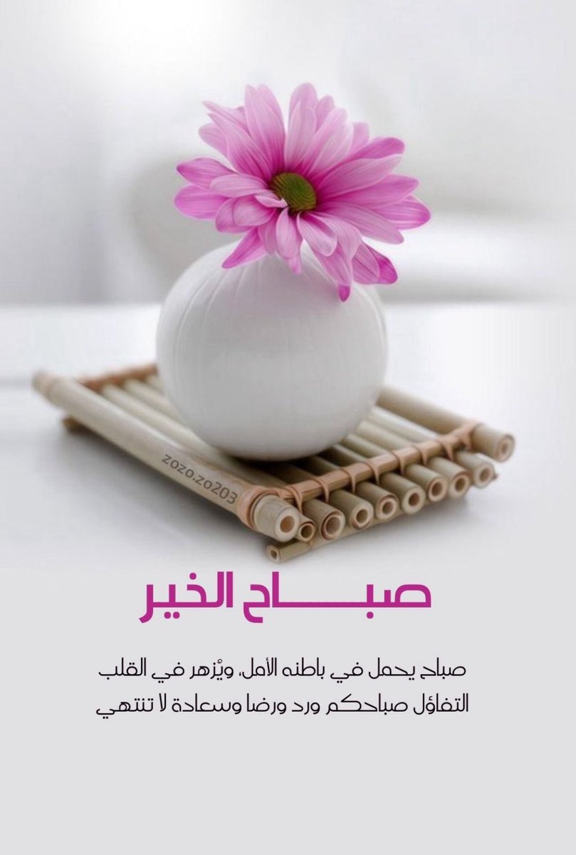 كل الأشياء الجميلة تبدأ همسًا،
حتى الفرح… يأتي بخطوات خجولة.

#صباح_الخير 
#صباح_الأشياء_المُشرقة