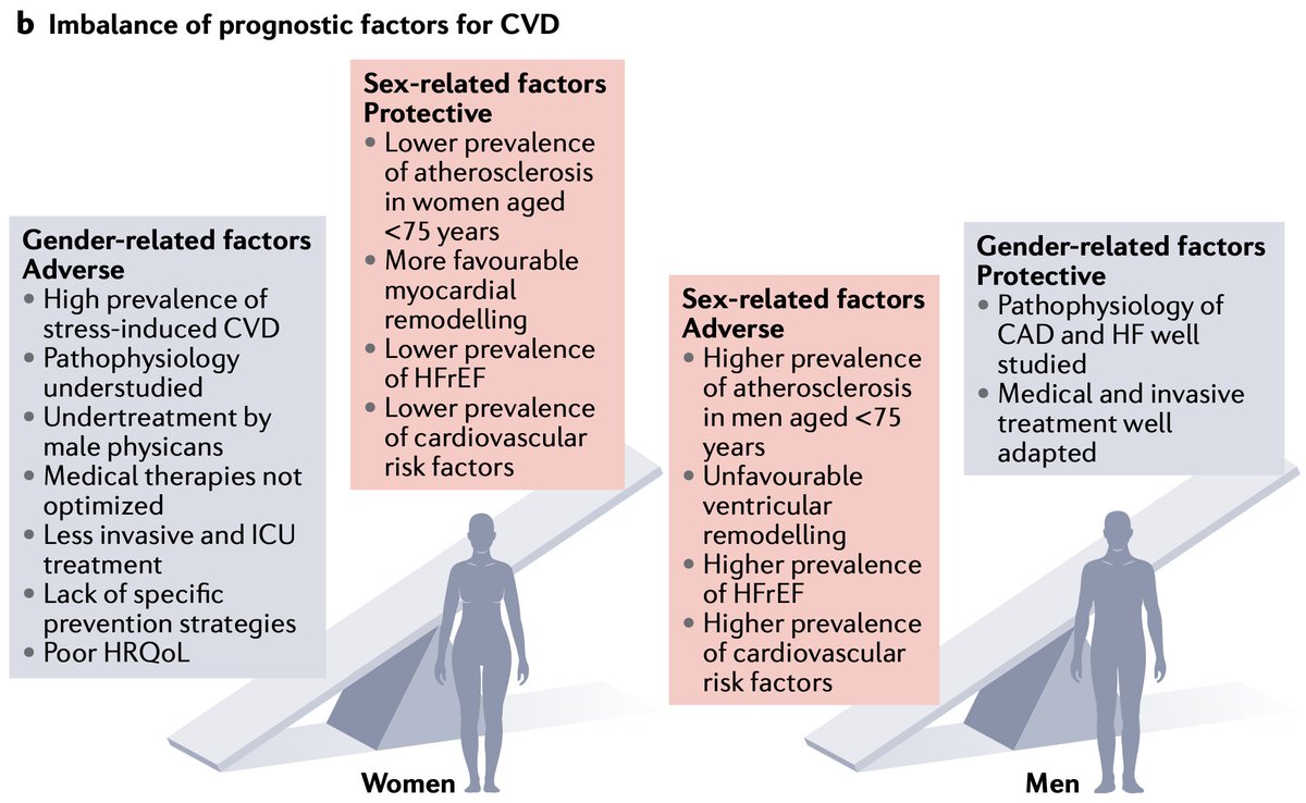 JLouisSchwartz's tweet photo. One of my favourite comps readings: Regitz-Zagrosek &amp; Gebhard (2023).
Sex ≠ gender — and in cardiovascular disease, they often push outcomes in opposite directions.
Time for more sex- and gender-specific exercise &amp; nutrition guidelines.
https://t.co/m04Gws4QTr https://t.co/roSTw4GK17