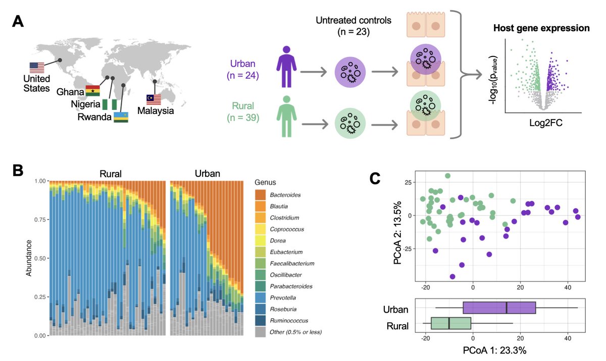 Ran Blekhman tweet media
