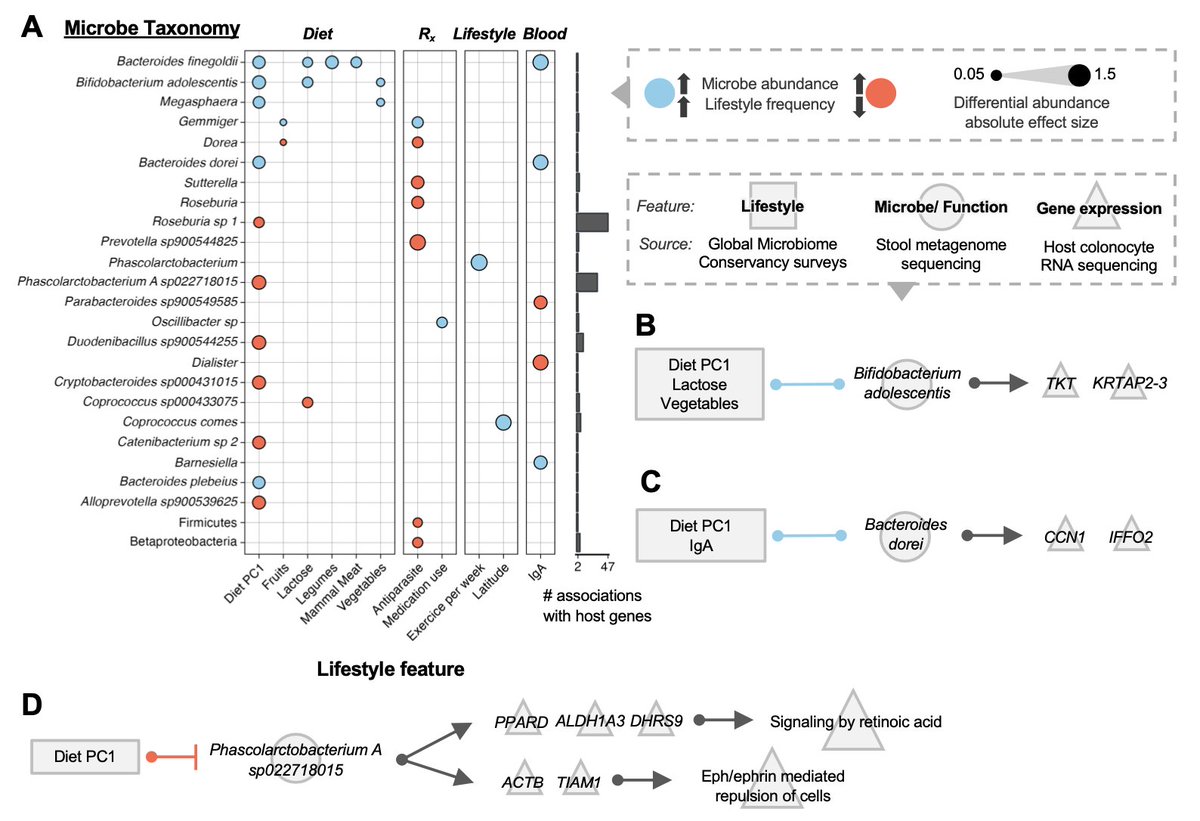 Ran Blekhman tweet media