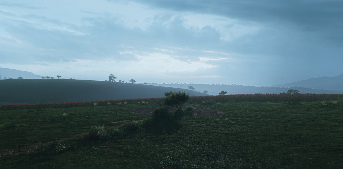 Sarokeye's tweet image. #ForzaHorizon5