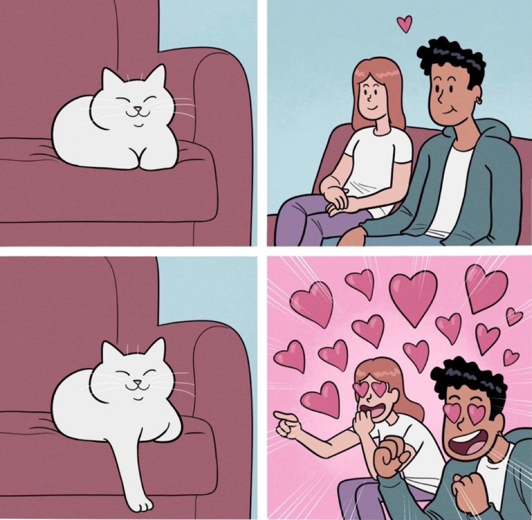 catshealdeprsn's tweet image. 