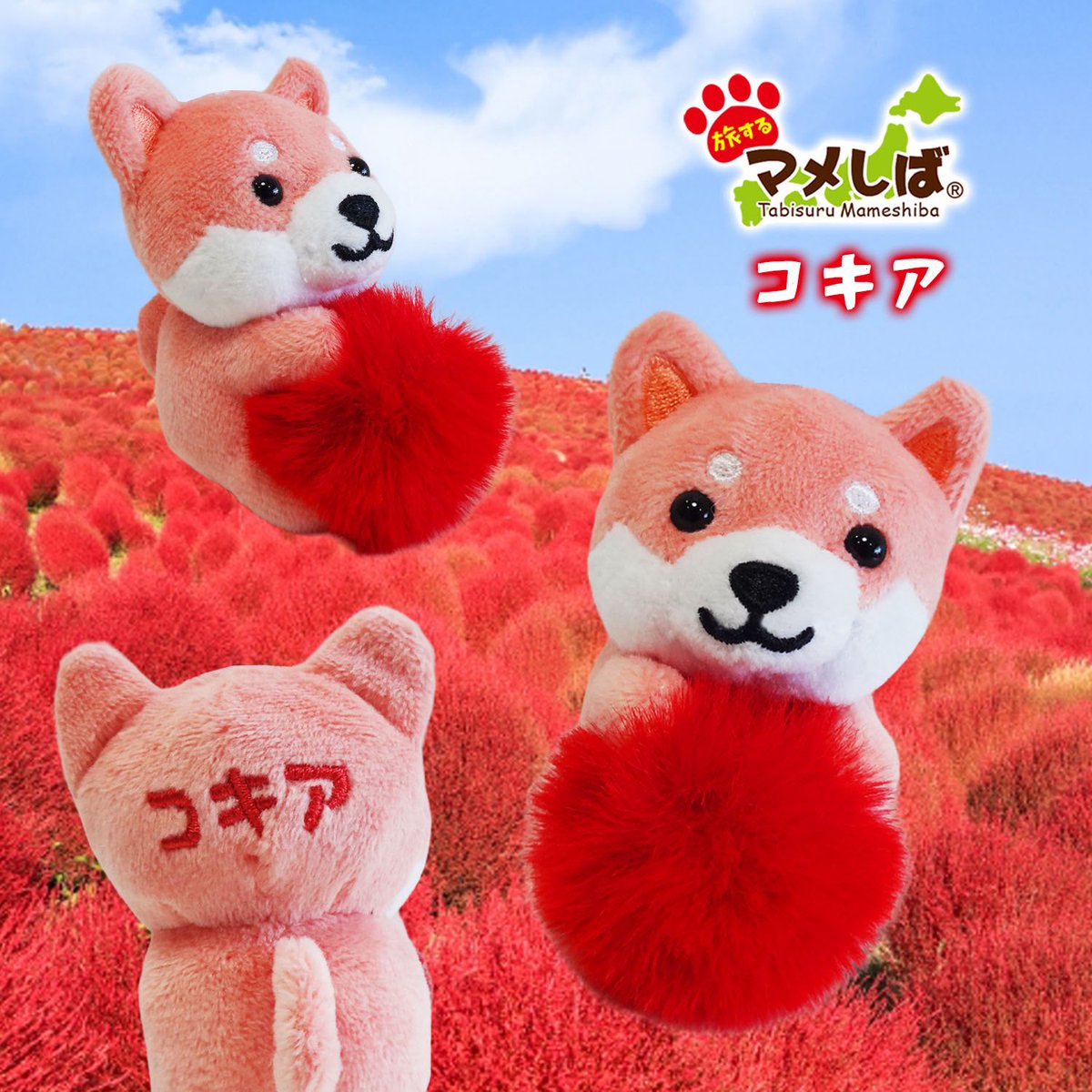 5株「悪魔くん（台湾産）+Sicilia産」もふもふさん確認用 悪魔くん | STORES
