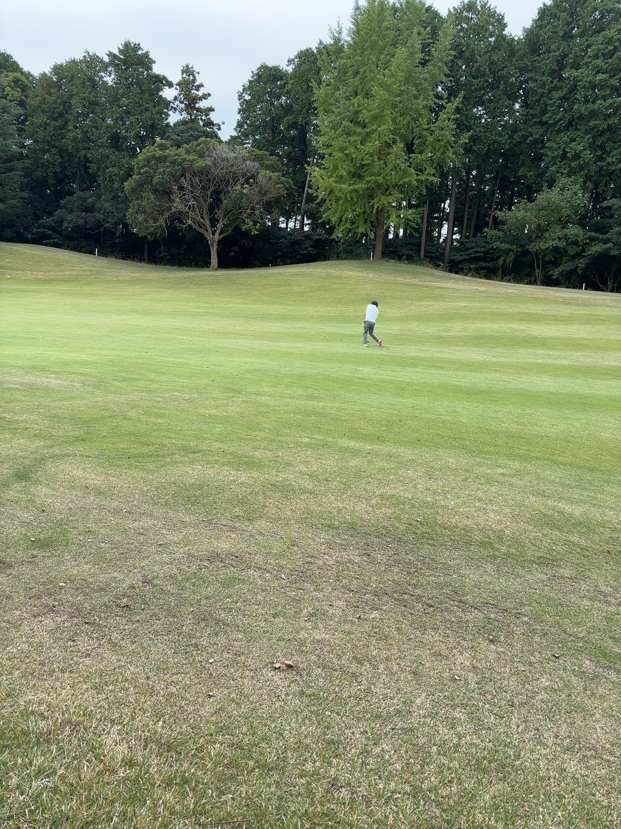 もりかん🐕🐊 tweet media