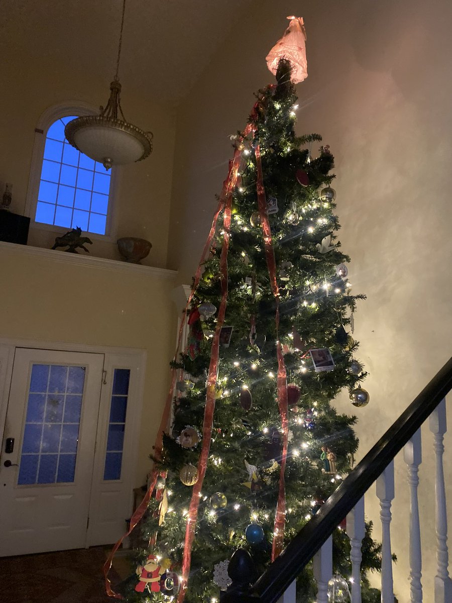 It’s officially up at the Getz household. 🤣😂🎄🎄🤣😂