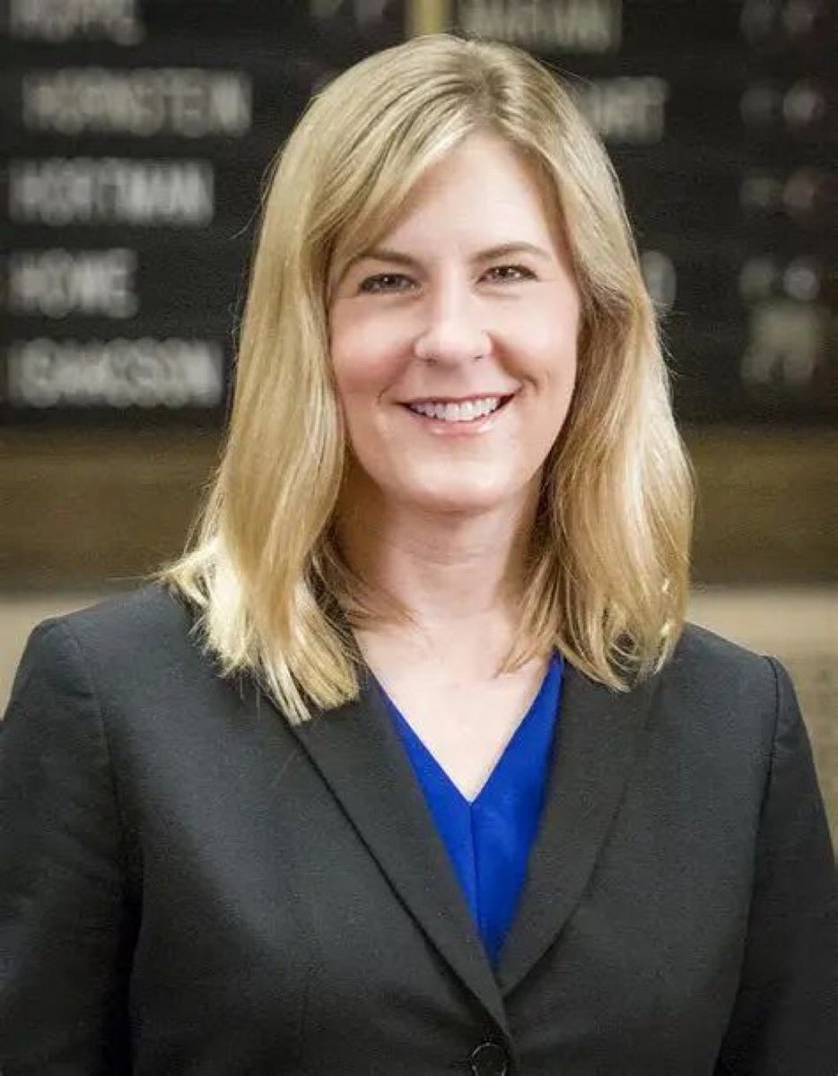 AliRak8710's tweet image. This is Melissa Hortman, a Democrat Minnesota state legislator. She was murdered earlier this year by a kook in an early morning political assassination.

This is Charlie Kirk, a Republican political commentator. He was murdered in front of a crowd of 3,000 people by a…