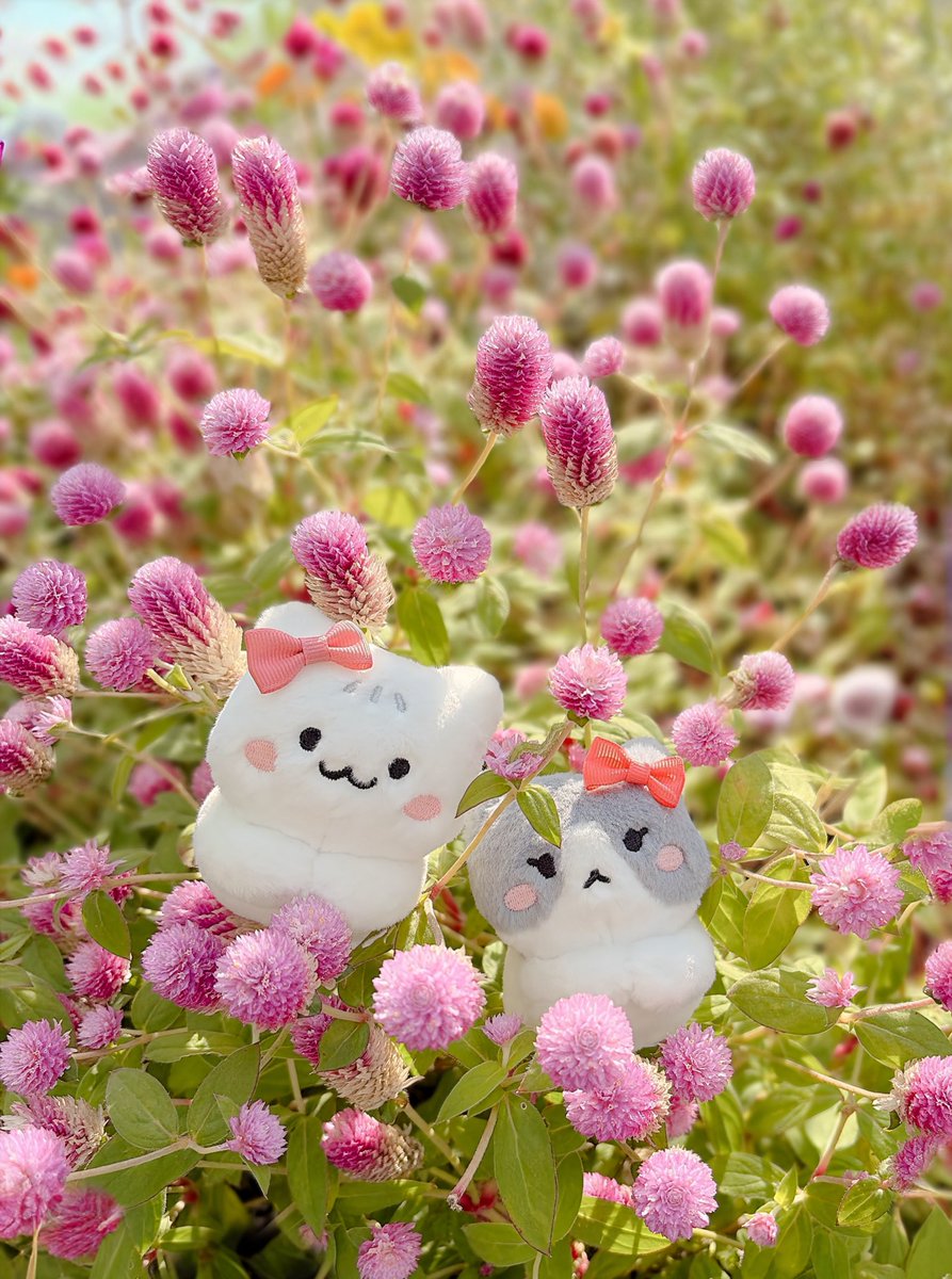 ヒョンリクス🫶🏻🐈‍⬛🩵 (@SKZOO618) / Posts / X