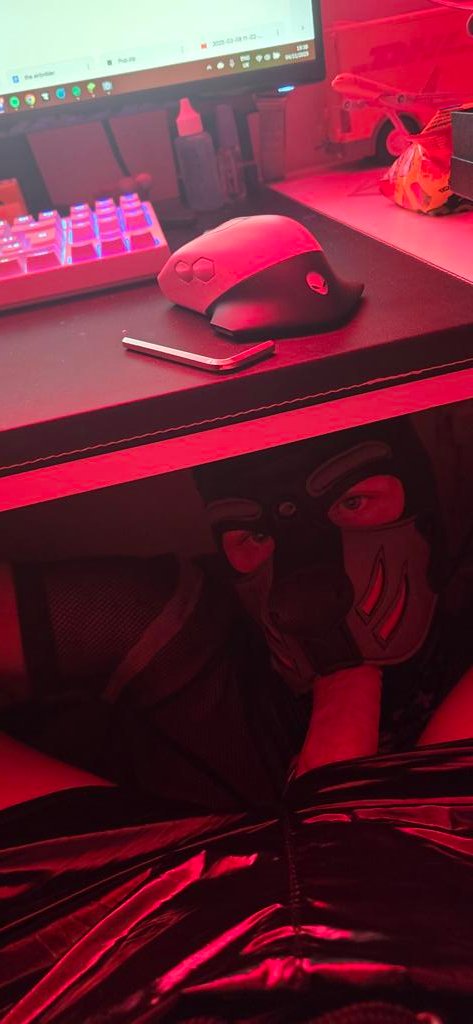 I know the under the desk support defo helped <a href="/PupAsh00/">Pup Ash</a> win 😝