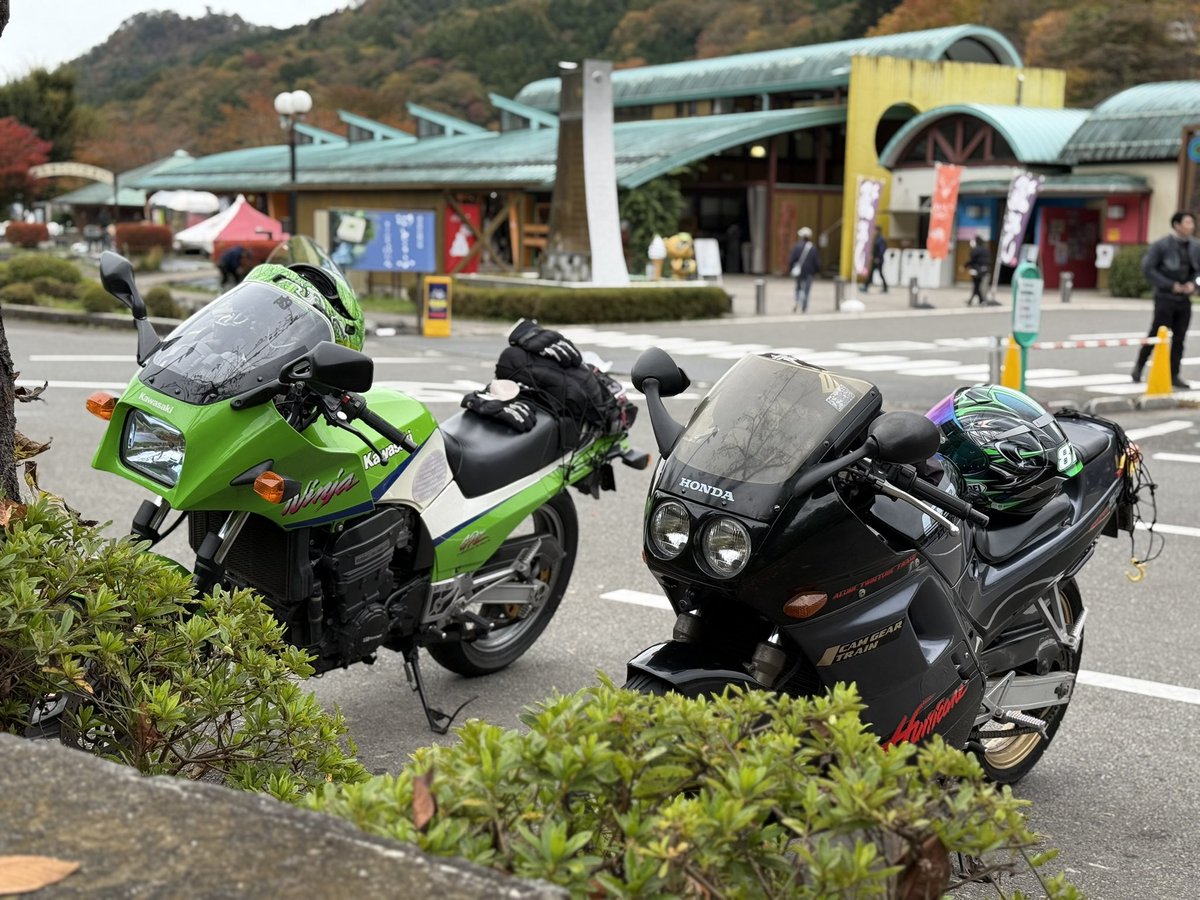 ✮ ɐ ʎ ɐ ✮🧄𝕄ℂ𝟙𝟟🫶🏻ℤ𝕏-𝟟ℝ ᐕ)ﾉ🍚 (@aaayaaa08109693) / Posts / X