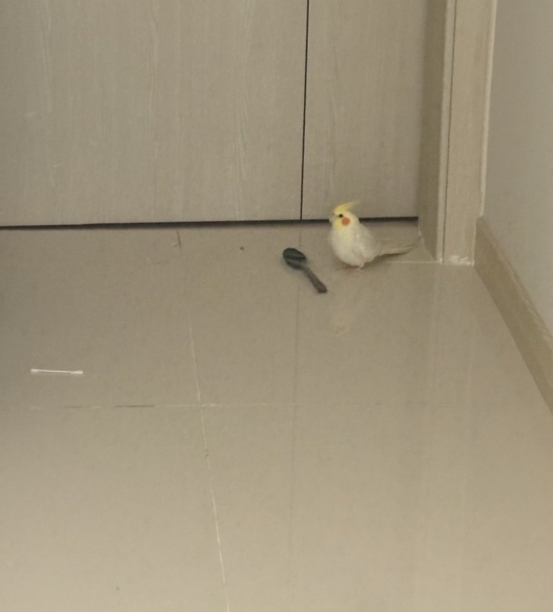 이불텐트 하고싶어서 침대방 앞에서 서성이는중