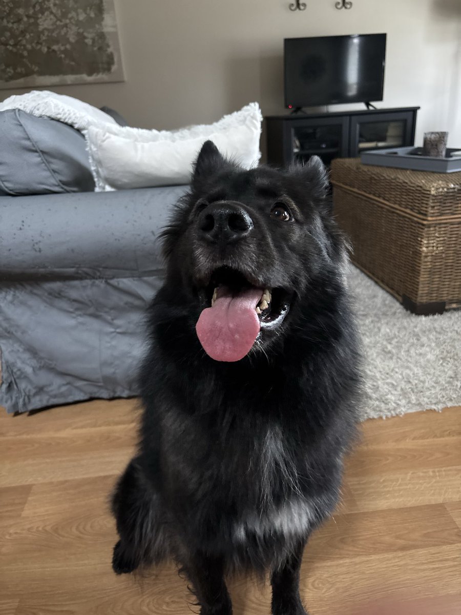 Edmonton Comedy Fest tweet media