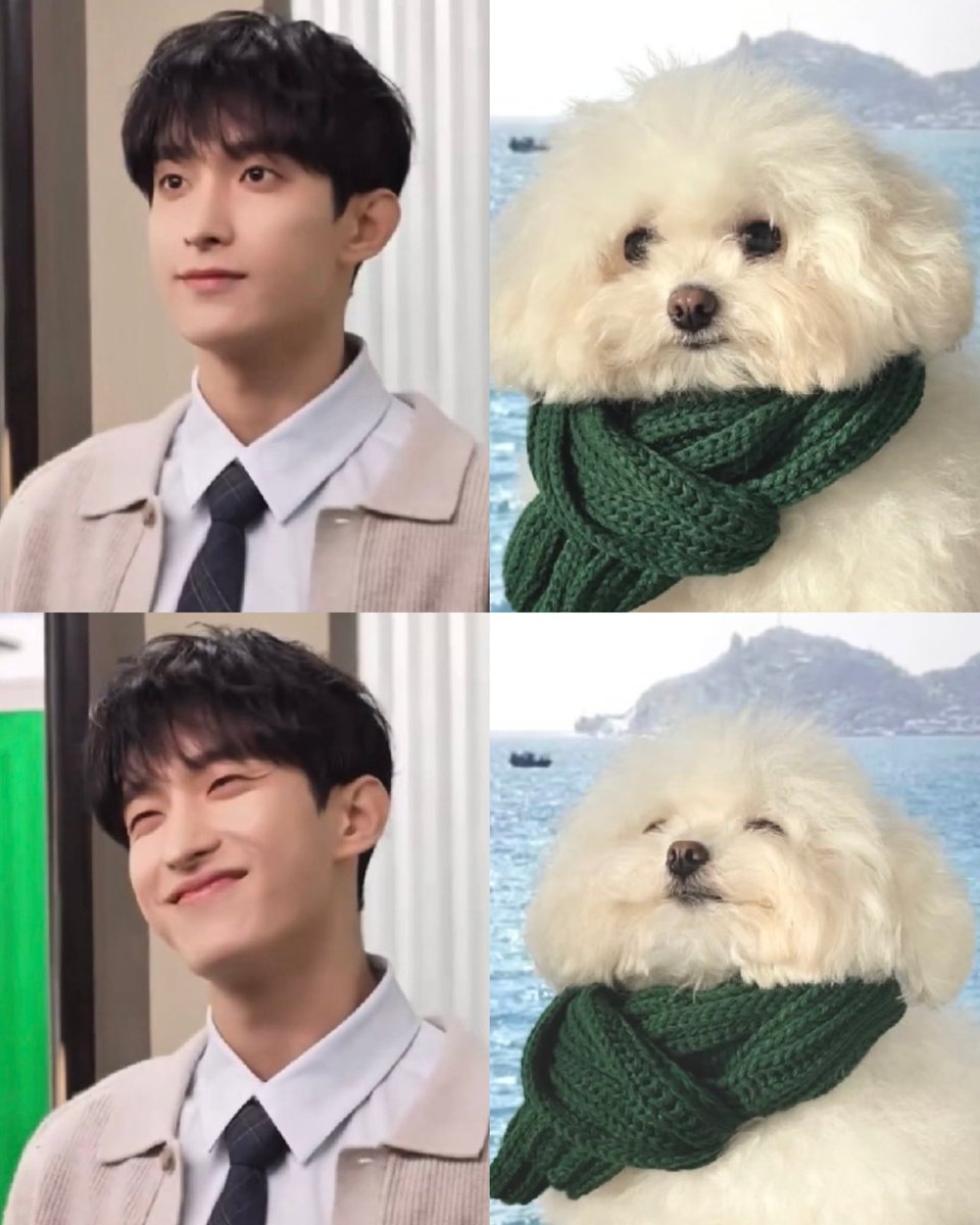 kidult_with_svt's tweet photo. 기여오오......☆ https://t.co/WlxASVnBjg