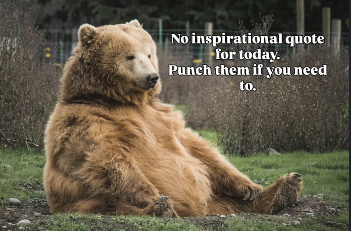 DailyBearPosts's tweet image. 