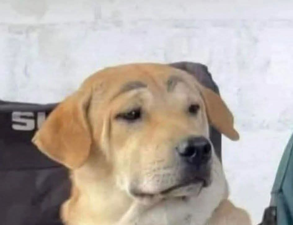 Tino es super inmaduro 

#JoaquinBondoni
 #PapásPorSiempre