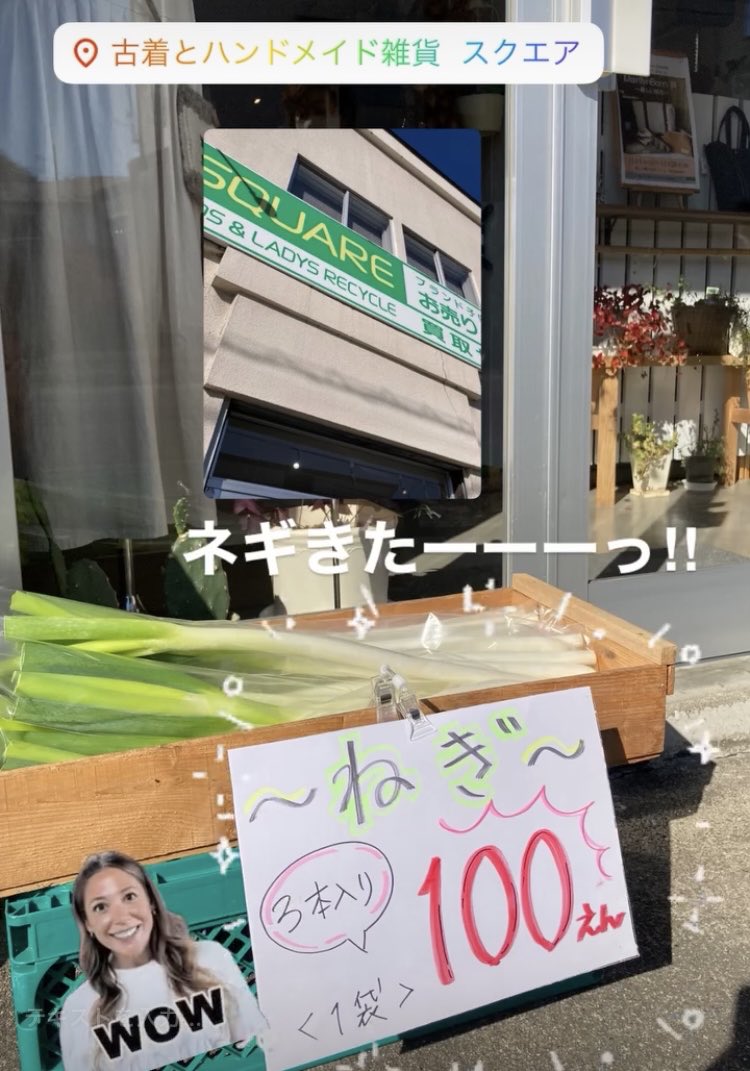 kusankin's tweet photo. ネギきたーーーっ‼︎
立派なネギ、3本入り１袋100円‼︎税込

#二戸スクエア
#八幡下
#リサイクルショップ https://t.co/HSEiOa6kIv