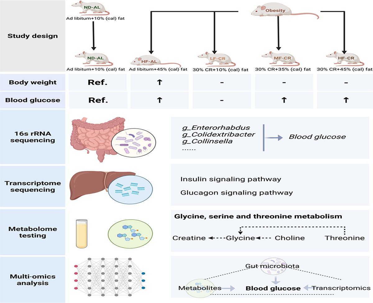 Multi-omics analyses revealed the distinct effects of calorie restriction diets with different fat-to-energy ratios on body weight and glycolipid metabolism in rats doi.org/10.1016/j.jnut… #weightloss #dietaryfat #highfatdiet #lowfatdiet #glucose #metabolism #calorierestriction