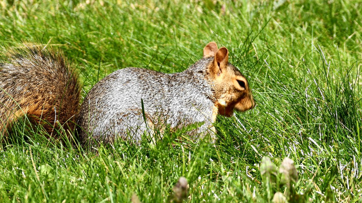 Mark Sailer tweet media