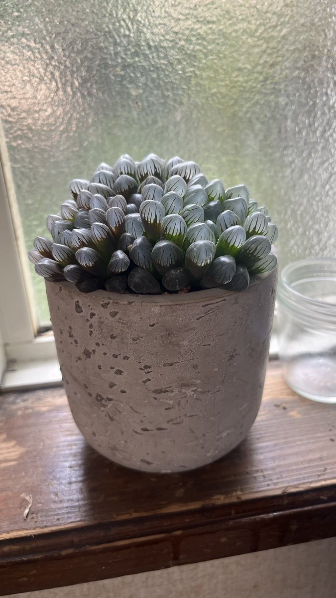 えすきち (@flowertoman) / Posts / X