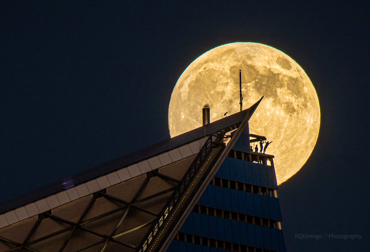 mitzgami's tweet photo. Tonight’s Super Beaver Moon as it rose behind the #EdgeNYC #beavermoon #supermoon #fullmoon #nikonphotography https://t.co/8iyplthLvb