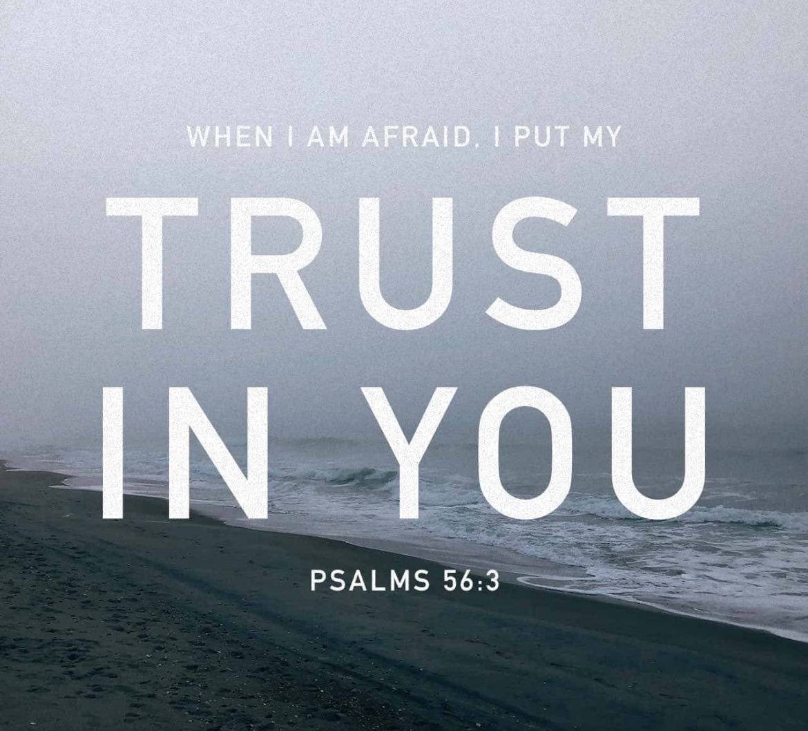 Erin Merryn (@erinmerryn) on Twitter photo 