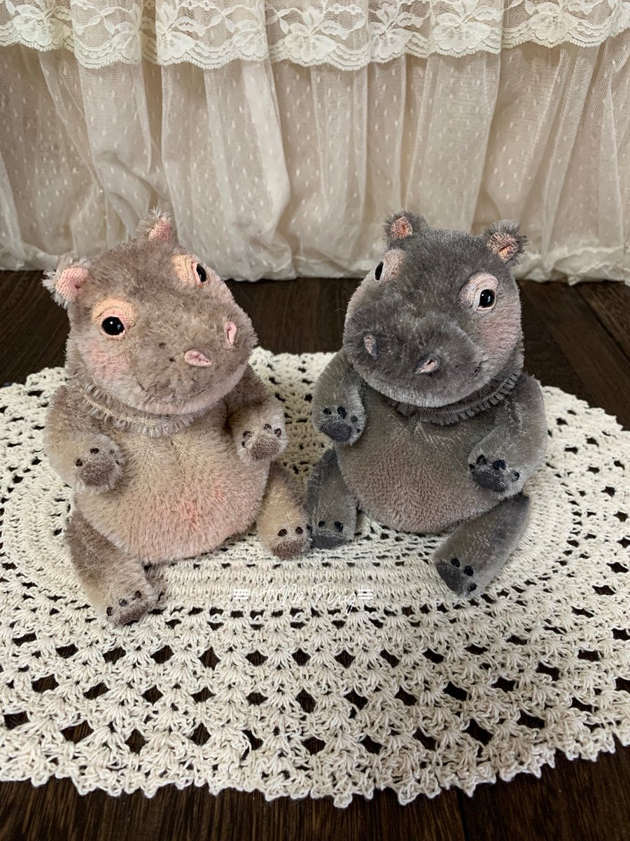 可愛いな 微妙に違う #カバ 達🦛 #HiNoっ子 #テディベア