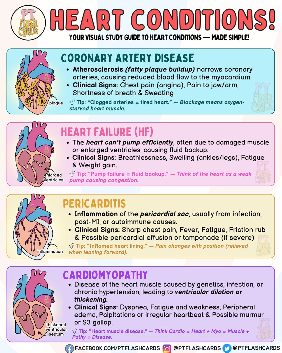 PT flashcards tweet media