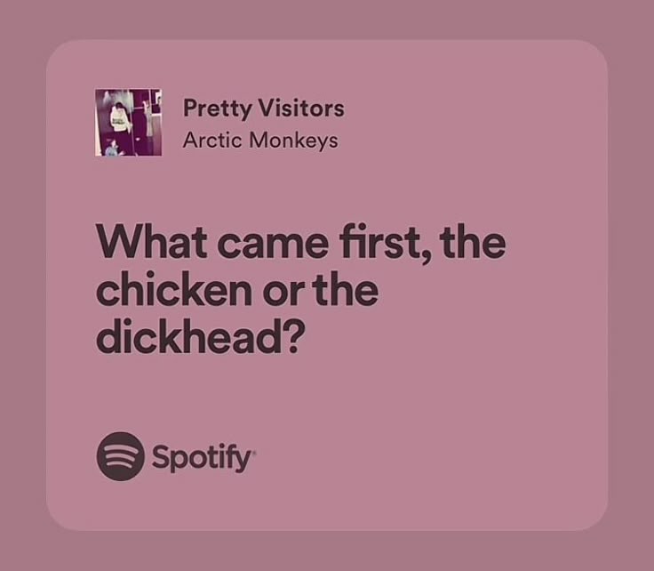 arctic monkeys – pretty visitors