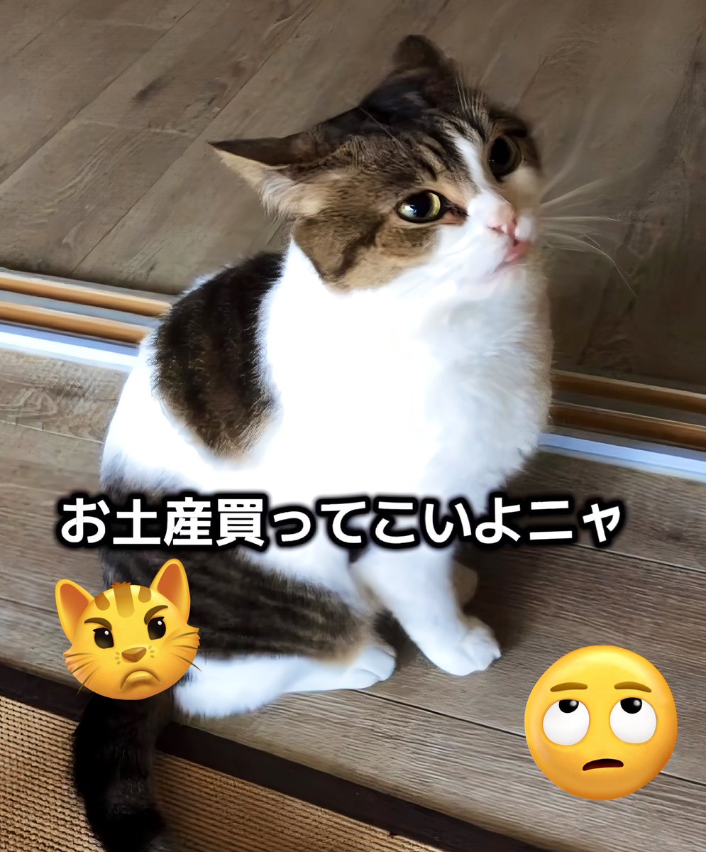 ニコちゃんとこたろう先生とトロとわさび姐さん on X