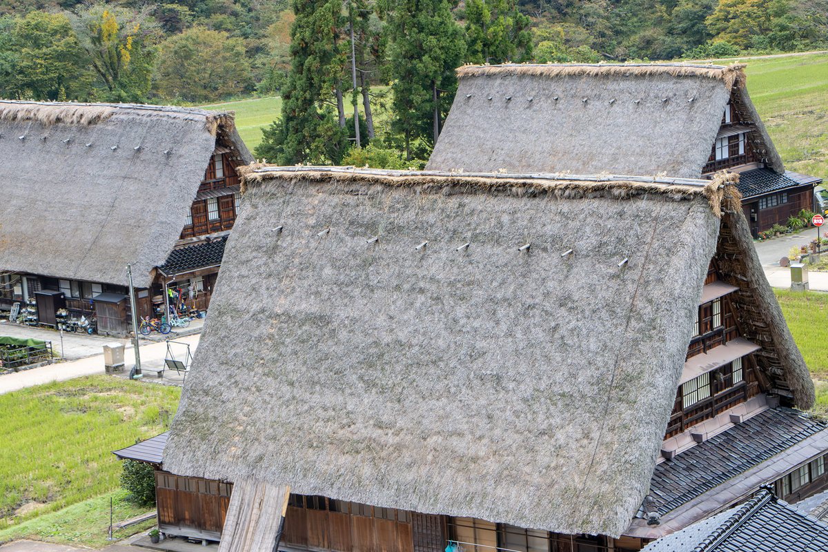 ひぐらしのなく頃にを思い出したので立ち寄ってみました。昔と比べて外国人が圧倒的に多い。おそらく日本人よりも多かった気がします。集落に住まわれている方々は大変だと思う。昔は静かな山村集落だったのでしょう。一長一短でしょうか