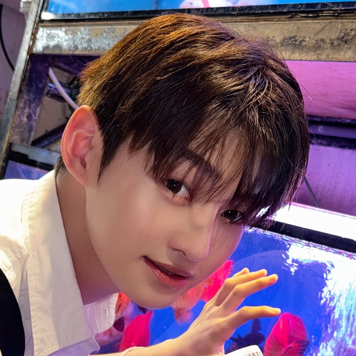 한 Jihoon. tweet media