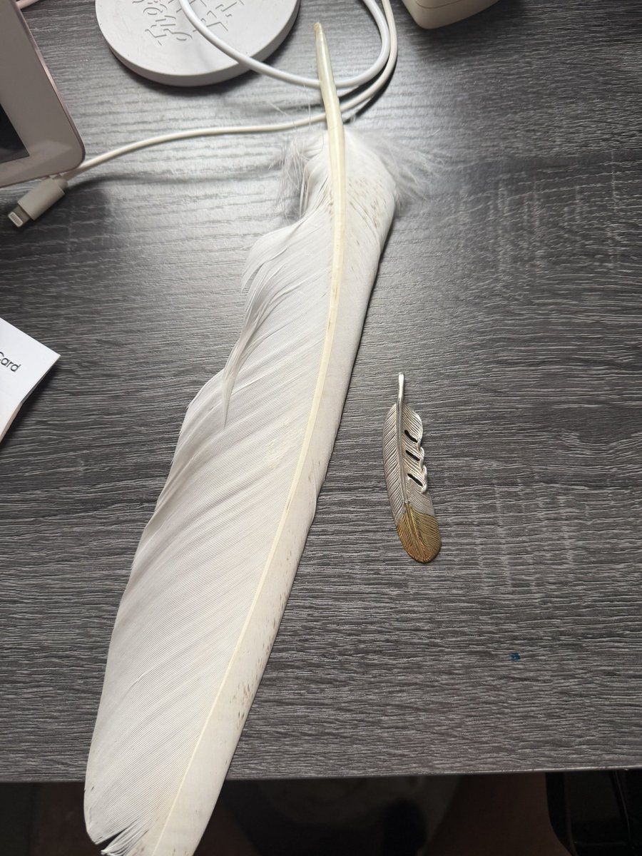 どっちが価値あるんやろ...

うん左👈笑笑