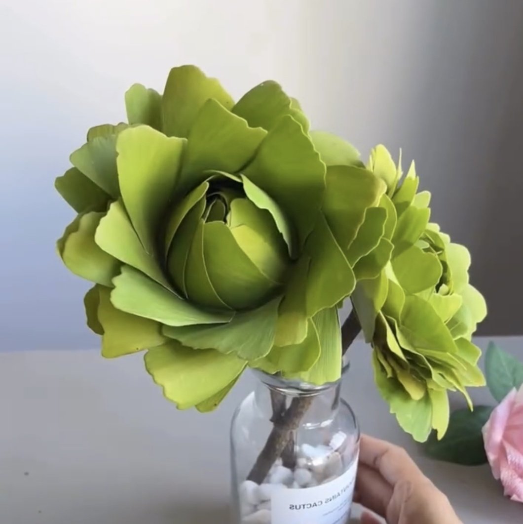 ก็ㅡ
ดอกบัว 😆💦