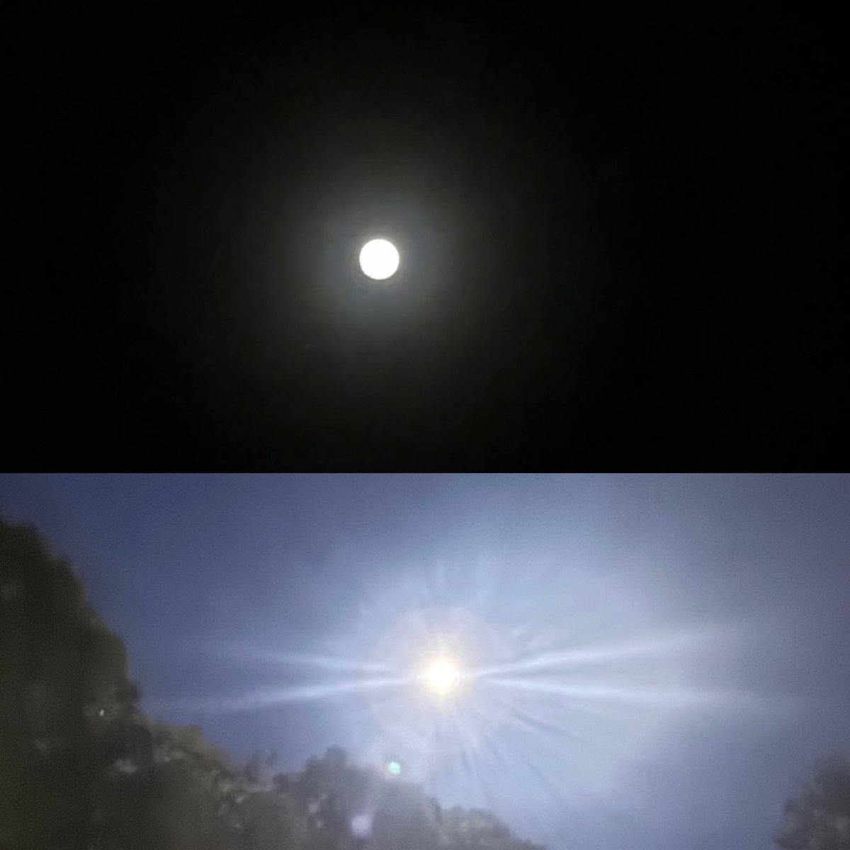Suddy2005's tweet photo. Are November super moon beaver https://t.co/UxTI2PFWeC