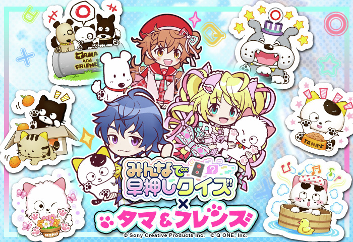 タマ＆フレンズ」と「みんなで早押しクイズ」コラボ開催🎉 タマと3丁目