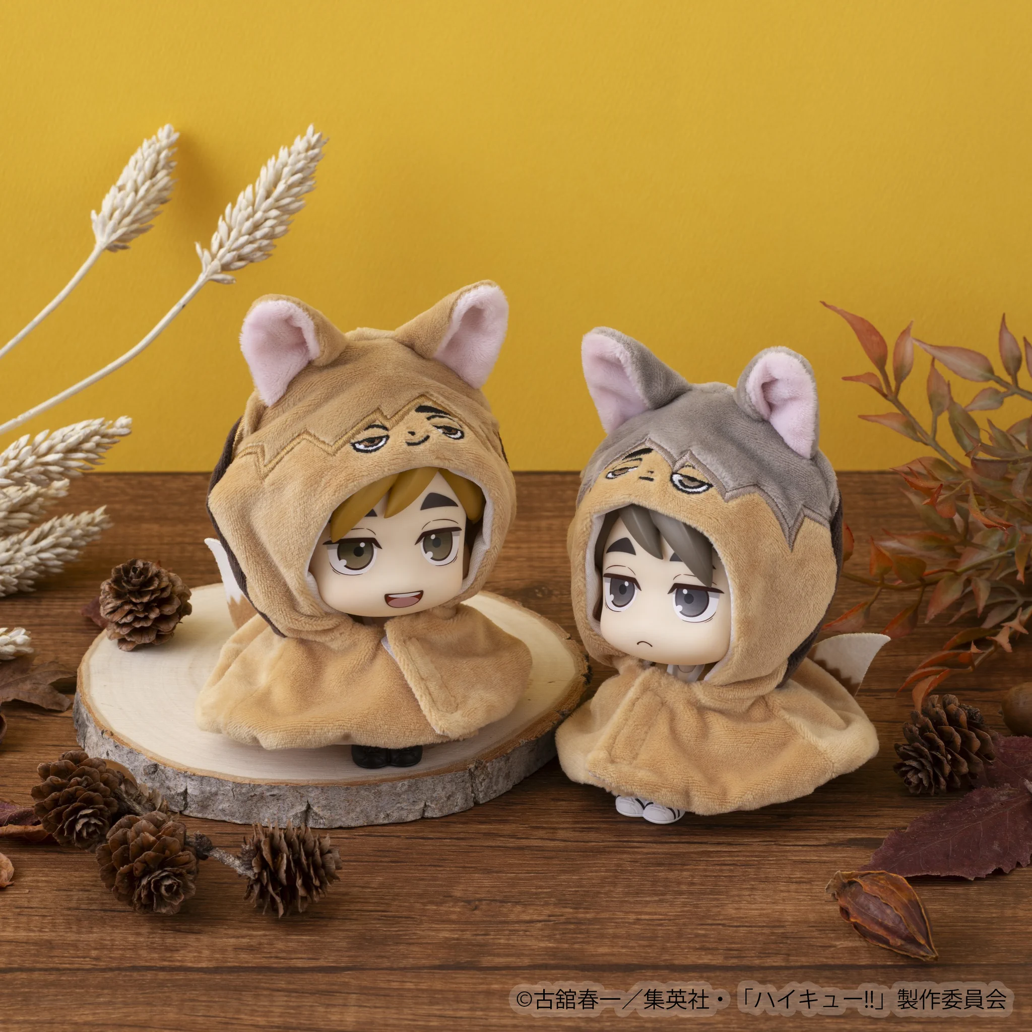 TOHO animation STORE ONLINE on X: 