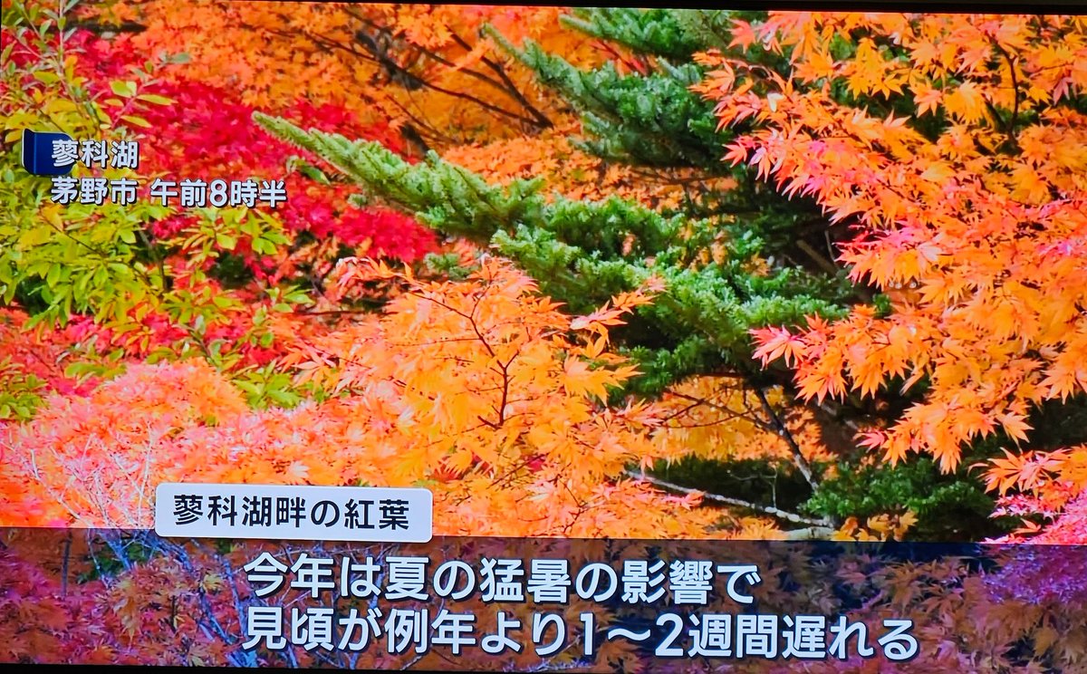 ぶらっくばーど ⋋('Θ'◍)⋌ on X