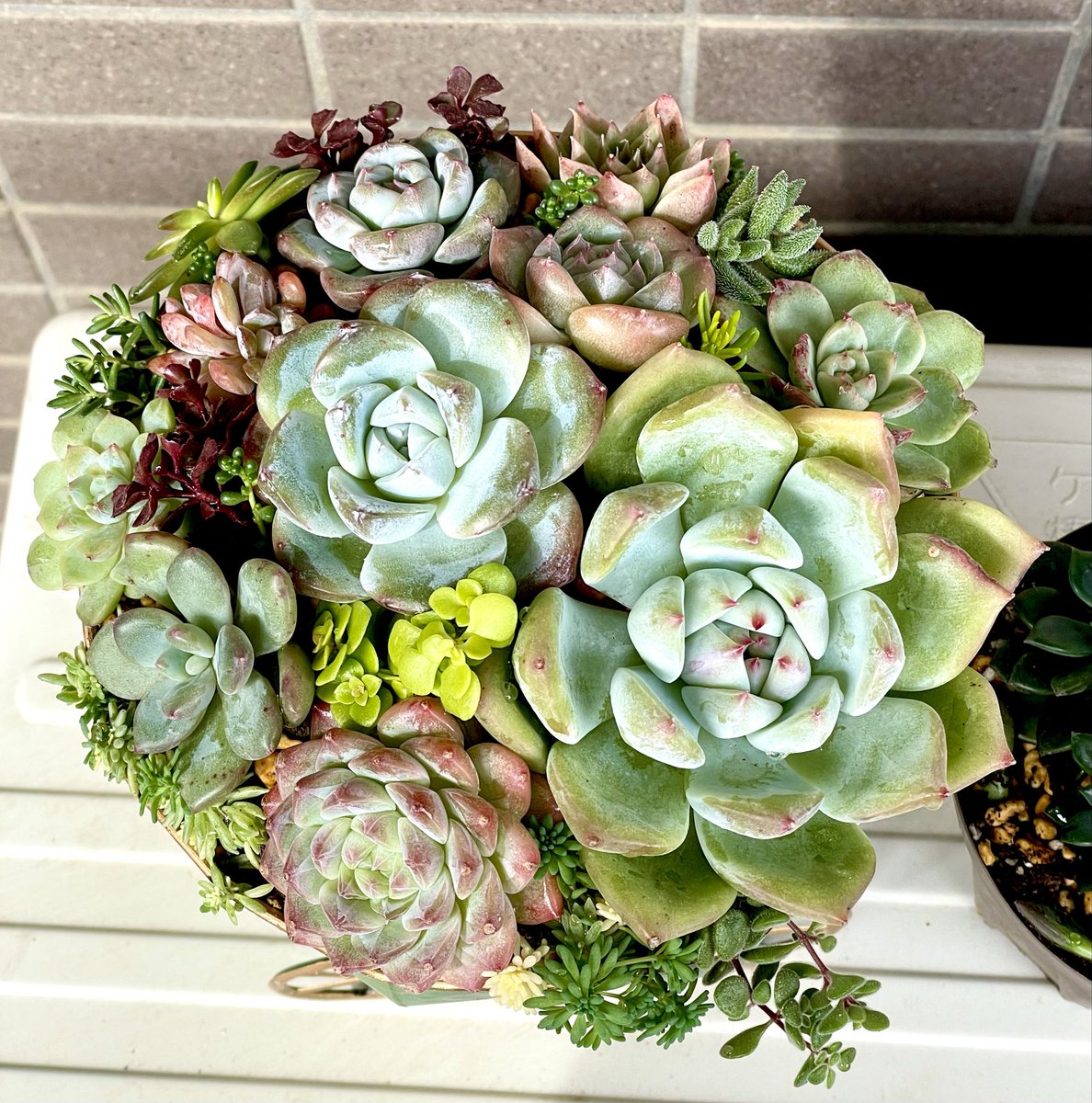 洵 (@yoshijune_624) / Posts / X