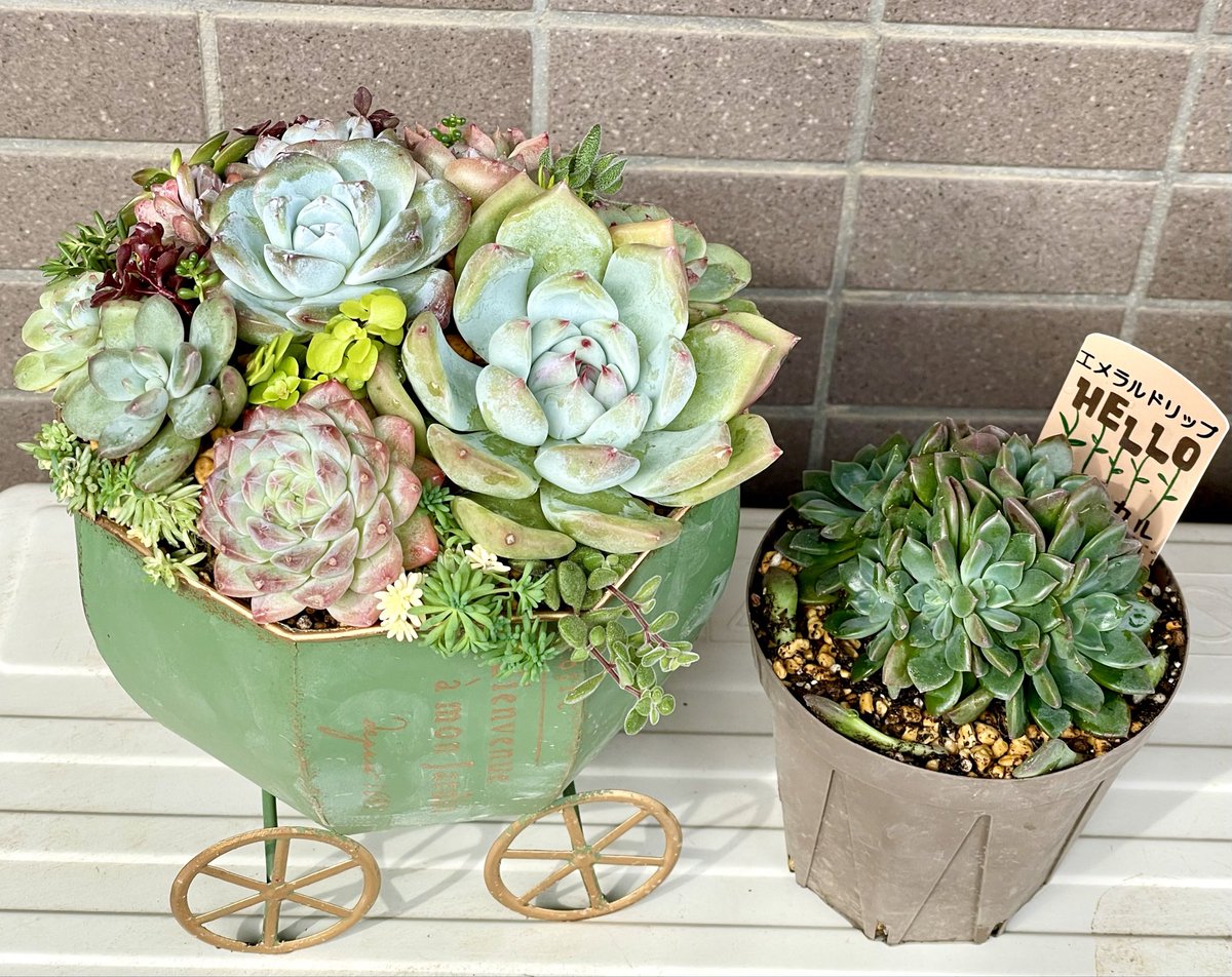 洵 (@yoshijune_624) / Posts / X