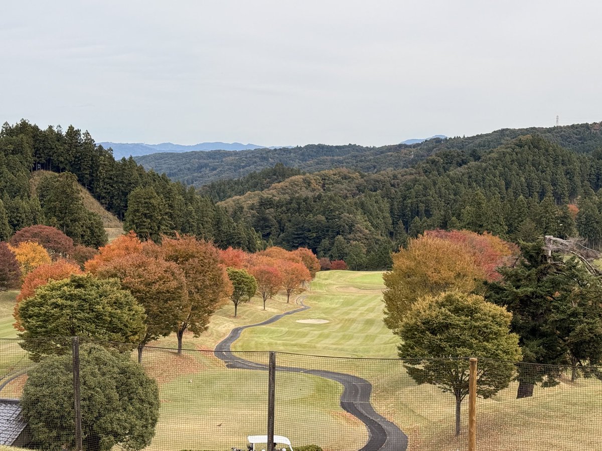 いじけてゴルフしてます