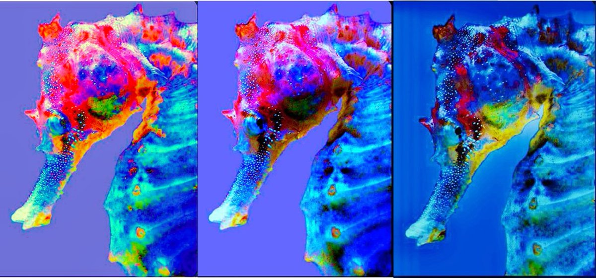 emily01749597's tweet image. #colorchange #colorretouch #colors #colorcorrection #colour #Enhancement #retouching #RetouchingEnhancement