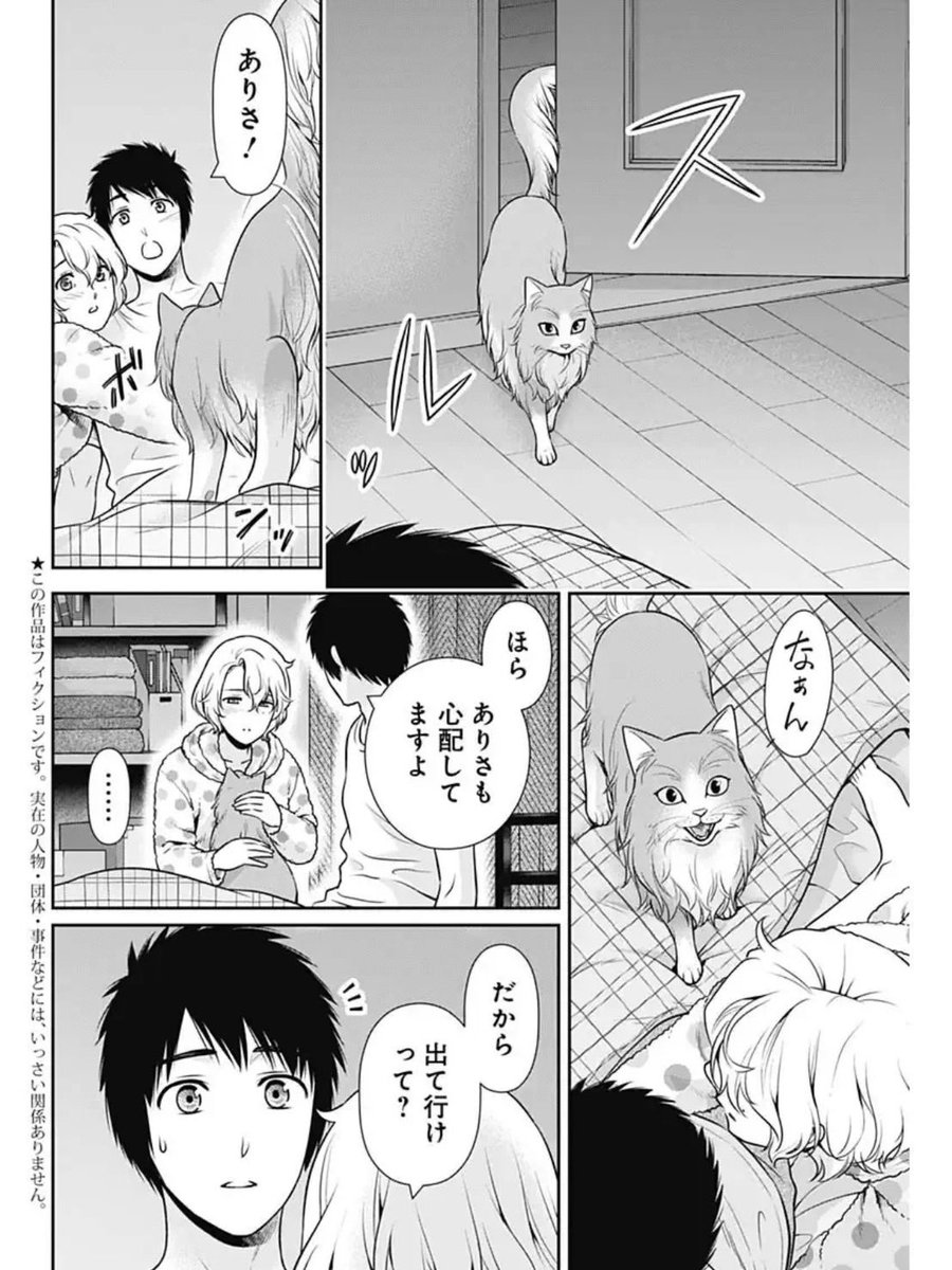 k_sasuga's tweet image. 本日発売のグランドジャンプにて「一緒暮らしていいですか？」54話が掲載されております！✨
和歌山から戻ってきたらマイペースで楽天家だったあんじゅが気弱に…一体何が？
重なると誰にでも起こりうる不調ですが…
よろしくお願いいたします❣️
#一緒に暮らしていいですか