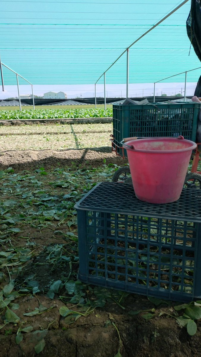 鄉下聽到不合邏輯音樂，
收音機聽習慣，但我在遠方卻聽到群青
youtu.be/Y4nEEZwckuU?si…