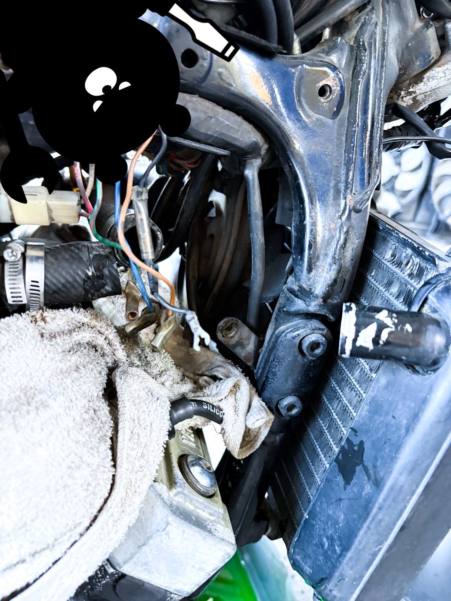 たくまページ 黒熊支店長 on X