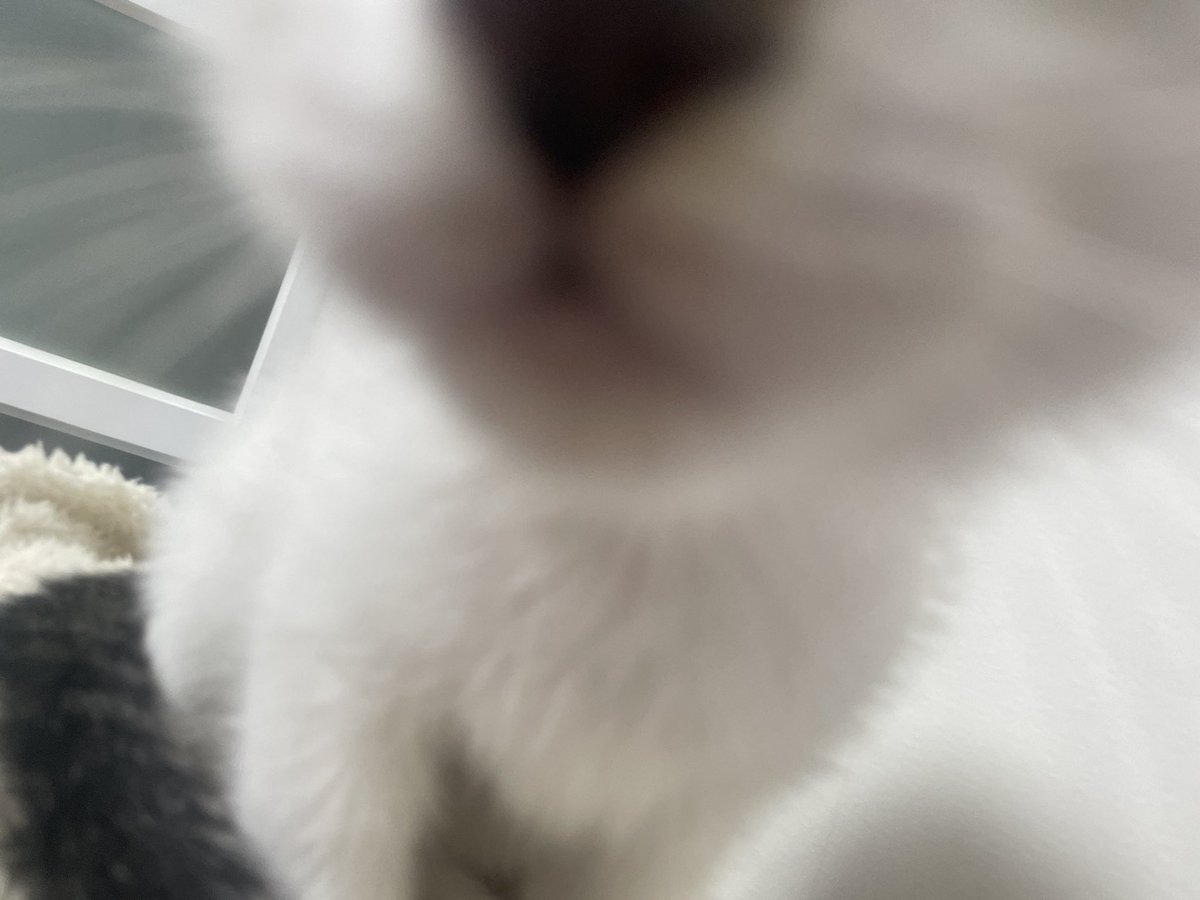 강순대 tweet media