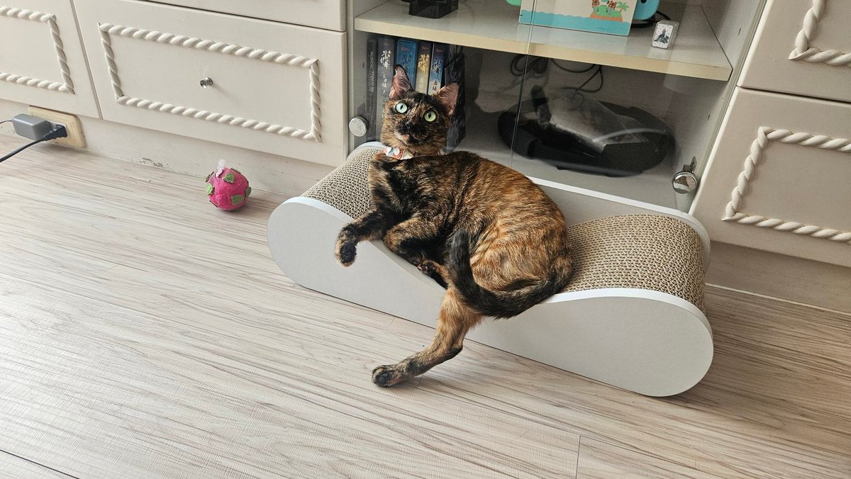 好像很喜歡新床喔