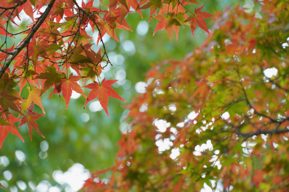 ひっきー☀️🌈🌻🚗🌻 (@hfx7a) / Posts / X